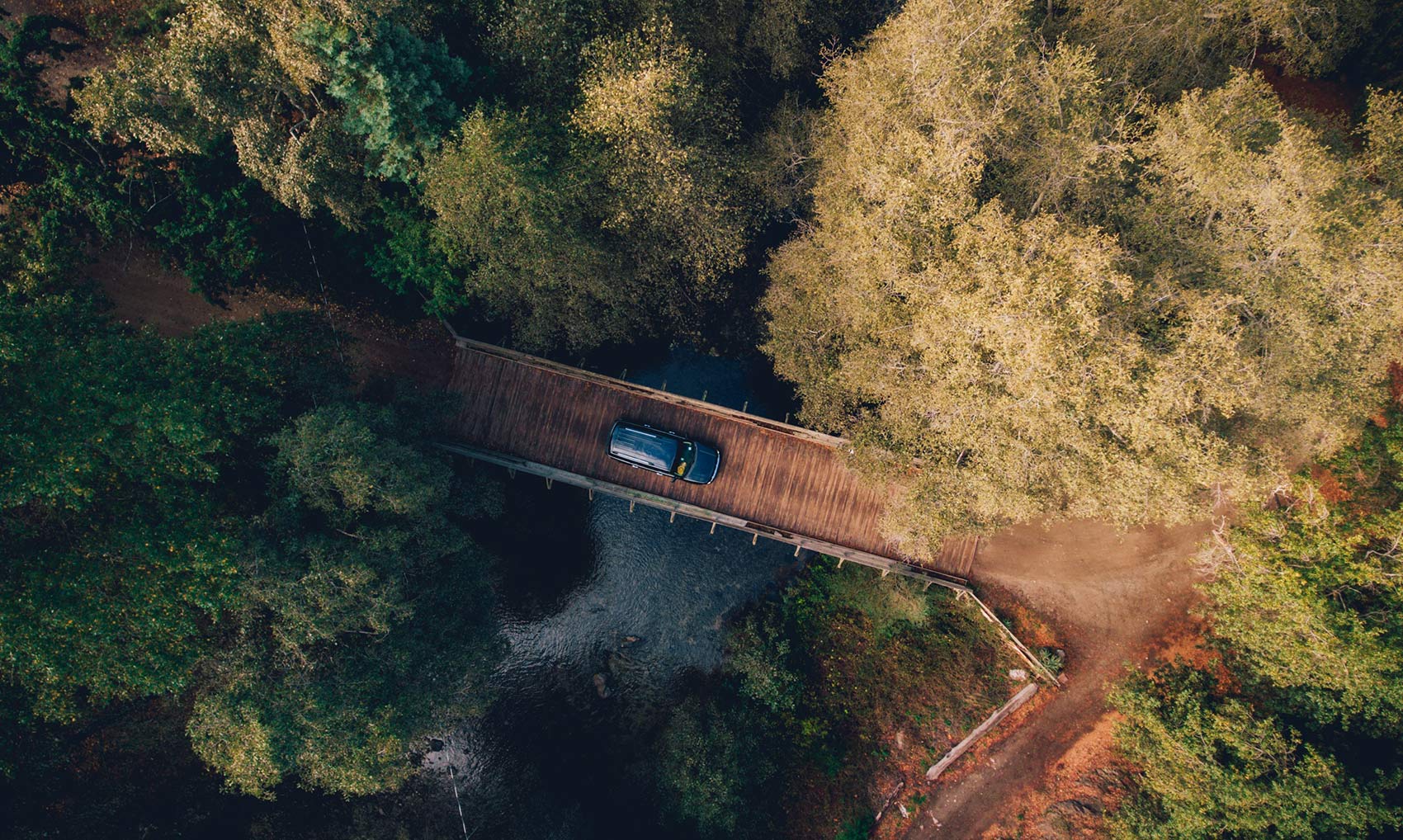 Madrone Business Services Logo