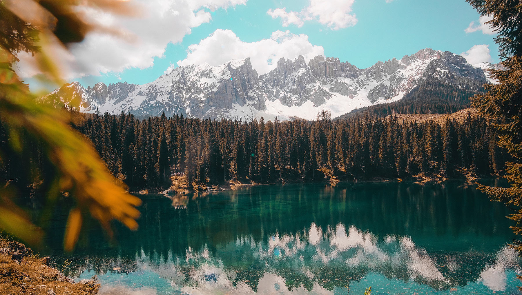 Madrone Business Services Logo